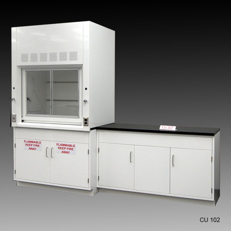 4′ Fisher American Fume Hood w/ Flammable Storage & 5′ Laboratory