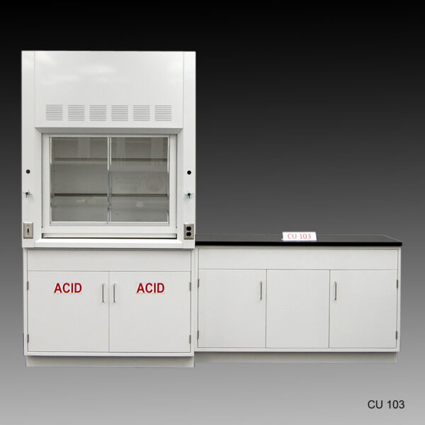 4′ Fisher American Fume Hood w/ ACID Storage & 5′ Laboratory