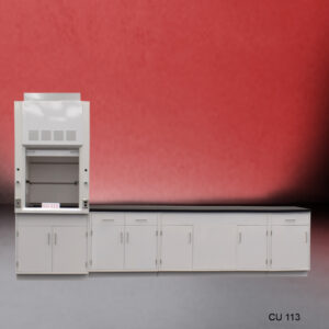 3′ Fisher American Fume Hood w/ General Storage & 10′ Laboratory Cabinet Group (CU-113)