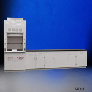 3′ Fisher American Fume Hood w/ Flammable Storage & 10′ Laboratory Cabinet Group (CU-115)