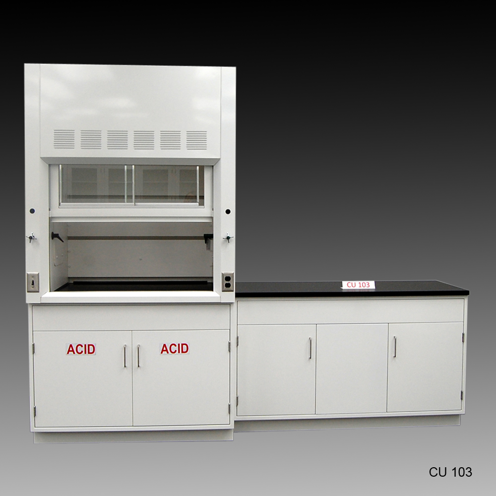 4′ Fisher American Fume Hood w/ ACID Storage & 5′ Laboratory Cabinet Group (CU-103)