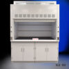 6' x 4' Fisher American Fume Hood with General Storage Cabinets