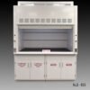 Straight on view of 6 foot x 4 foot Fisher American Fume Hood with Flammable & Acid Storage Cabinets.