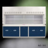 10' Fisher American Fume Hood with Blue Acid Cabinets.
