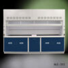 Front view of 10' Fisher American Fume Hood with Blue Acid Cabinets. Sash is partially open