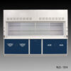 10' Fisher American Fume Hood with Flammable and Acid Storage Cabinets.