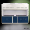 Front view of 10' Fisher American Fume Hood with Blue Acid & General Storage Cabinets