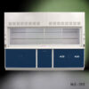10' Fisher American Fume Hood with Blue Acid & General Storage Cabinets. Sash is partly open.