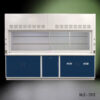 10' Fisher American Fume Hood with Blue Acid & General Storage Cabinets. Sash is open.