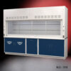 10' Fisher American Fume Hood with Blue Flammable and General Storage Cabinets.