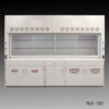 10' x 48" Fisher American Fume Hood with Acid & Flammable Storage Cabinets (NLS-1021)