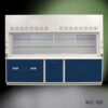 10' x 48" Fisher American Fume Hood w/ Blue General & Acid Storage Cabinets (NLS-1025)