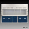 10 foot x 48 inch Fisher American Fume Hood with Blue Acid and Flammable Storage Cabinets