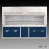 10 foot x 48" Fisher American Fume Hood with Blue Acid and Flammable Storage Cabinets