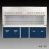10' x 48" Fisher American Fume Hood with Blue Acid and Flammable Storage Cabinets