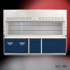 10' x 48" Fisher American Fume Hood with Blue General and Flammable Storage Cabinets