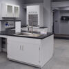 L Cabinet Group with Peninsula (Island), Wall Cabinet and 3’ Fume Hood with Flammable Storage Cabinet