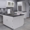 10’ x 11’ x 6’ “L” Cabinet Group Including 10’ x 4’ Peninsula (Island), Wall Cabinet and 3’ Fume Hood with Flammable Storage Cabinet